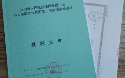 设计标书