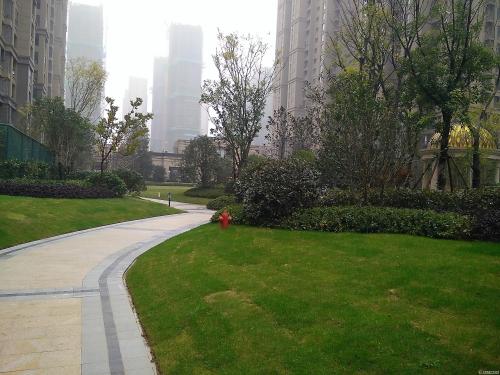 园林景观设计